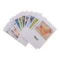 thumbnail image 3 of 48 tarjetas Montessori Hugo de granja Modelo de aves, 3 of 9