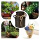 thumbnail image 5 of Cubo Decorativo Baoblaze Cubo de hierro retro para plantas de jardín, 5 of 8