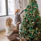 thumbnail image 3 of Juego de 24 bolas navideñas flocadas con formas irregulares y estrella para la punta del árbol. Adornos navideños para exteriores. Decoración navideña., 3 of 6