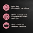 thumbnail image 6 of (2 pack) Cesar Classic Loaf in Sauce Wet Dog Food, Bacon & Egg Flavor, 3.5 oz. Easy Peel Trays, 24 Count, 6 of 16