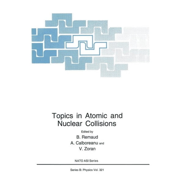 NATO Science Series B: Topics in Atomic and Nuclear Collisions, Book 321, (Paperback)