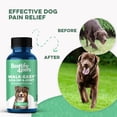 thumbnail image 5 of BestLife4Pets Walk-Easy Extra Strength Dog Hip and Joint Supplement - Suitable for All Breeds, 5 of 21