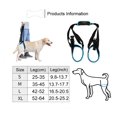 thumbnail image 2 of Arnés ajustable con soporte elevador para mascotas Rantow Blue (M), 2 of 9