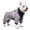 Gray, variant on Hengshan Dog Winter Snowsuit, Full Coverage 4-Legged Dog Coat, Sherpa Lined Warm Dog Jacket with Back Zipper & Reflective Leash Strap, Water Resistant Cold Weather Pet Apparel for Small Dogs