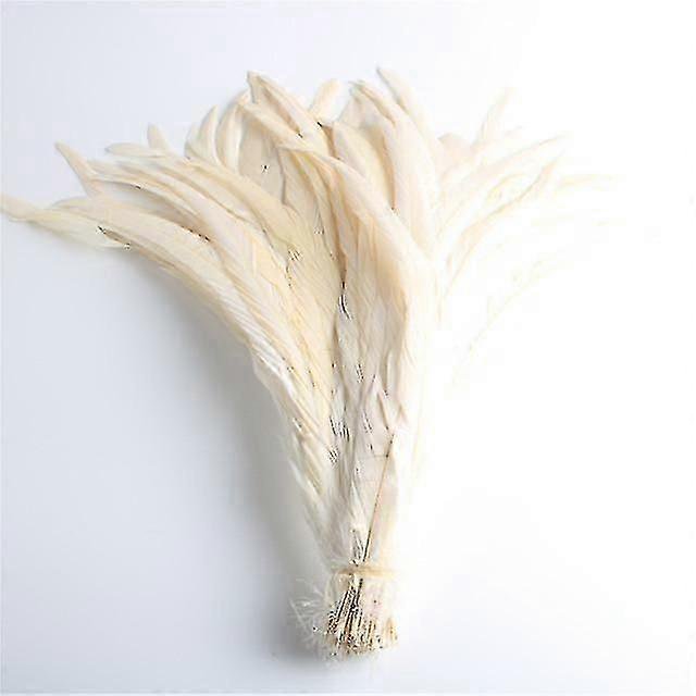 50pcs Natural Chick Tail Feathers 25 -40cm /10 -16inch Clothing Decoration Stage Performance Rooster Tail Feathers Plume
