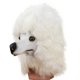 thumbnail image 1 of Diadema de goma con forma de caniche para cosplay de Halloween, talla única, 1 of 4