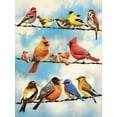 thumbnail image 2 of Cobble Hill - Oiseaux sur Fil, Casse-Tête de 500 Pcs, 2 of 2