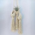 thumbnail image 4 of Flower Basket Pineapple Shape Landscaping Stylish Home Garden Plant Hanger for Office B, 4 of 5
