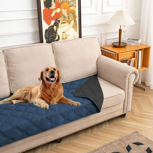 Dog blanket for sofa online