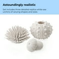 thumbnail image 6 of biOrb White Sea Urchins Set - Ceramic Aquarium Decor, 6 of 10