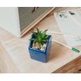 thumbnail image 5 of Disney Atlantis: The Lost Empire Stone Face 4-Inch Ceramic Mini Planter, 5 of 8