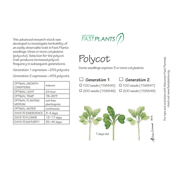 Wisconsin Fast Plants Polycot Generation 2 Seeds Pack Of 200 Walmart Com Walmart Com