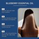 thumbnail image 4 of 1-3Pcs Blueberry Soothing Essential Oil Nourishes Hair, Moisturizes the Whole Body, Moisturizes the Nail Care Multifunctional Essential Oil, 4 of 4