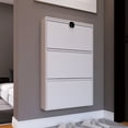 thumbnail image 1 of Zapatero de acero ultrafino, pared colgante estrecha con cerradura, elevador de pasillo, zapato tipo cubo abatible para puerta, 15cm, 1 of 4