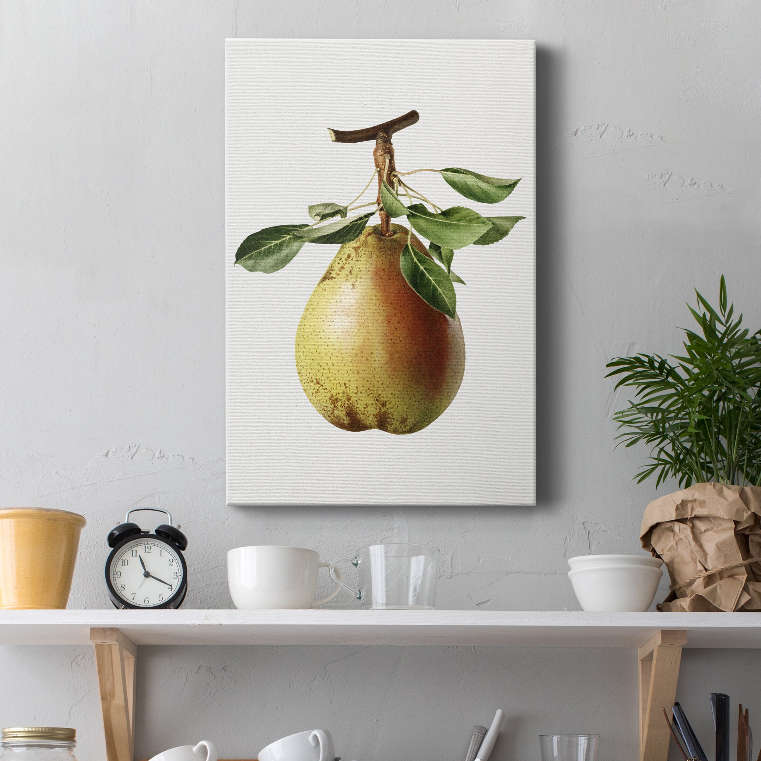 Vintage Pear Illustration II Premium Gallery Wrapped Canvas - Ready to Hang - 40 x 60