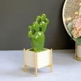 thumbnail image 3 of MesaSe 2PCs Fake Cactus Plants For Desk Decor  Mini Desk Plants In White Ceramic Pots, 3 of 6