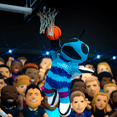 thumbnail image 2 of Bleacher Creatures Charlotte Hornets Hugo 10" Mascot Plush Figure, 2 of 5