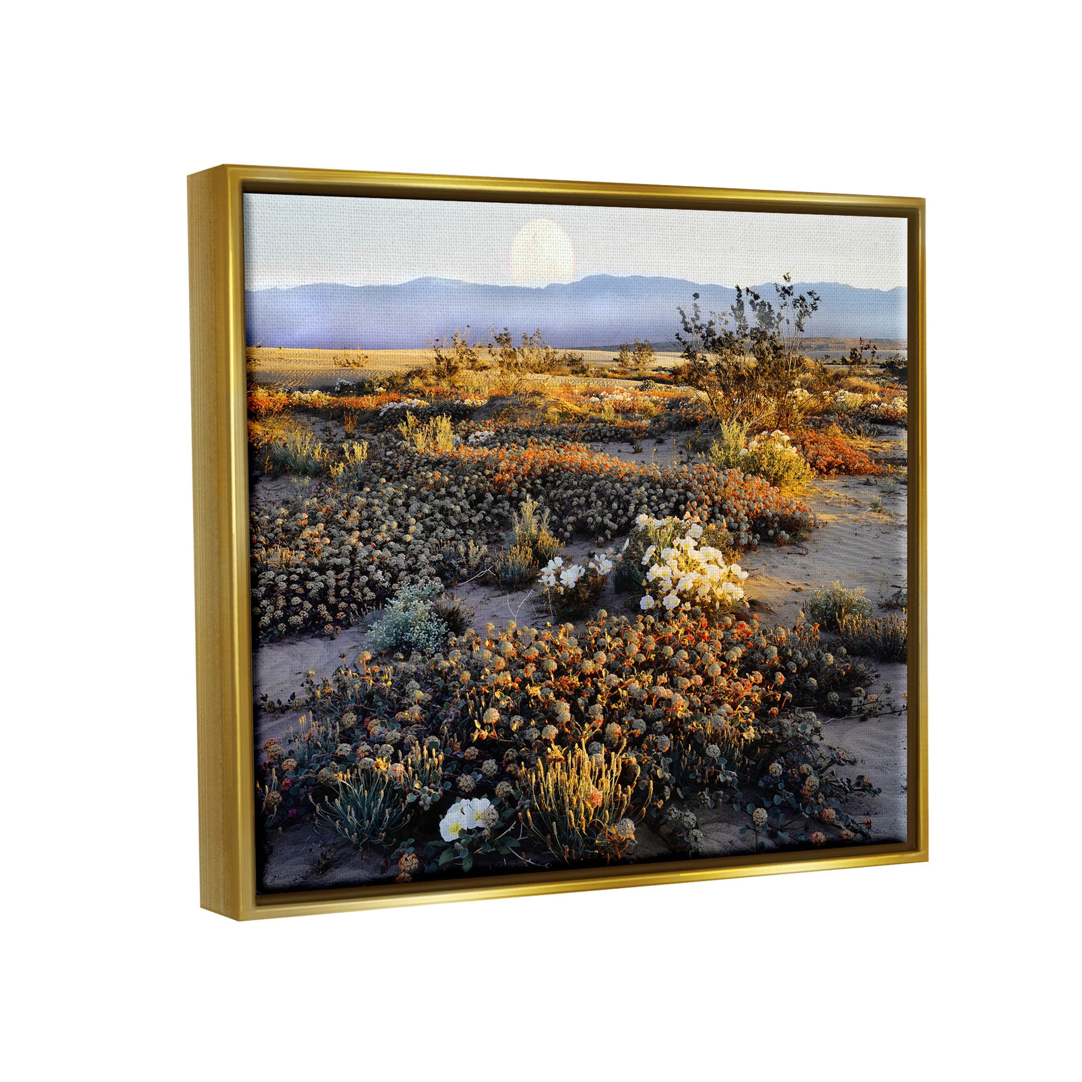Mountain View Desert Vegetation Landscape Photograph Metallic Gold Framed Art Print Wall Art
