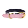 thumbnail image 1 of Collar rizado Collar de cuerda redondo duradero para perros pequeños y medianos, Adepaton Correas y Collares para Perros, 1 of 5