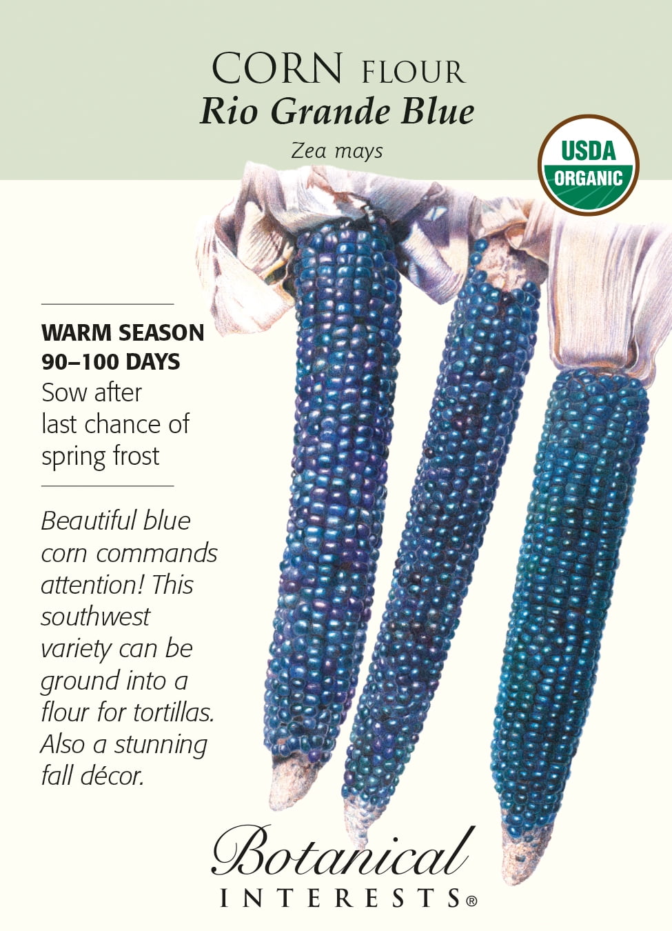 botanicula 8 blue seeds botanicula 8 blue seeds