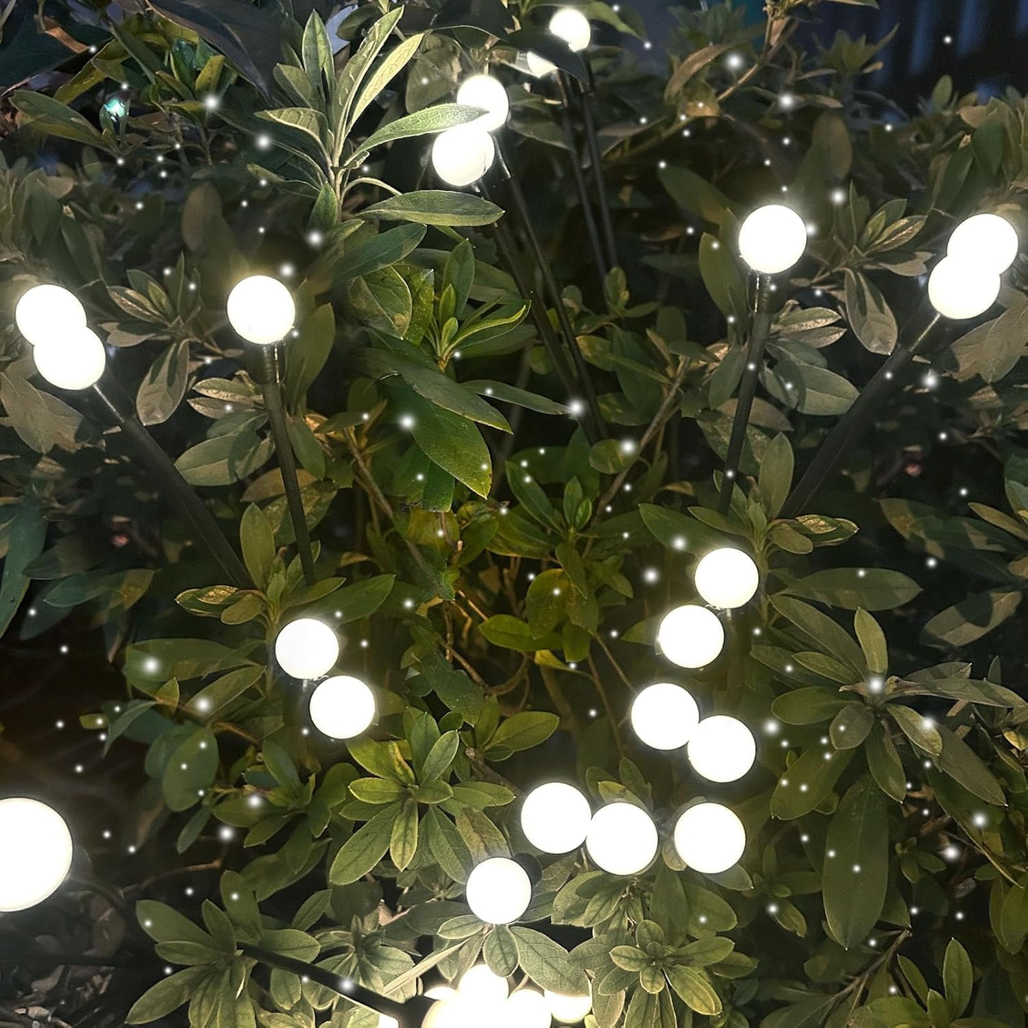 CTAnnie 2025 Solar Lights Outdoor Waterproof, 6 Pack Solar Garden Lights, Firefly Light Outdoor Waterproof, Twinkle Swaying Fairy Light for Yard Patio Pathway Garden Decoration (Cool White)