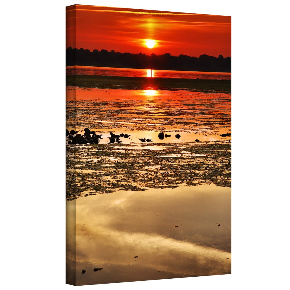 ArtWall Steven Ainsworth "Breaking Dawn" Gallery-Wrapped Canvas