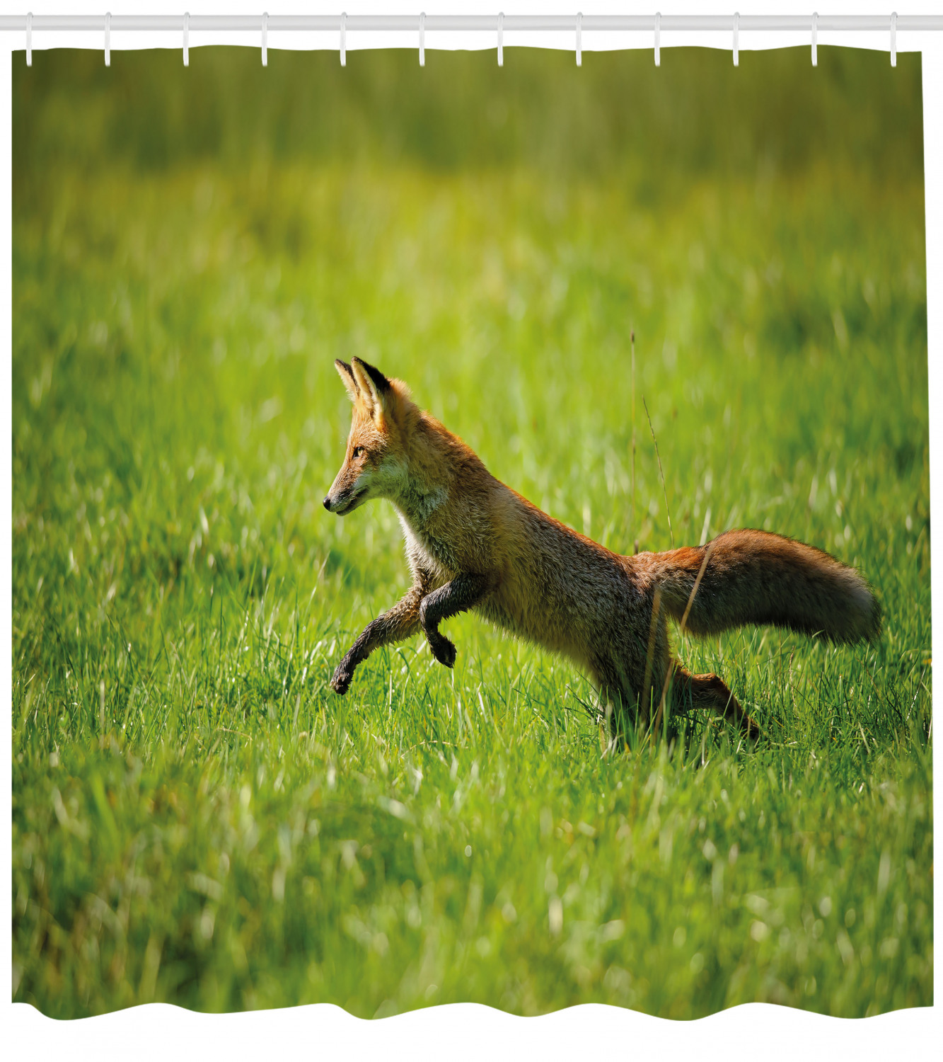 Fox Shower Curtain Red Fox Jumping Running In Fresh Green Grass