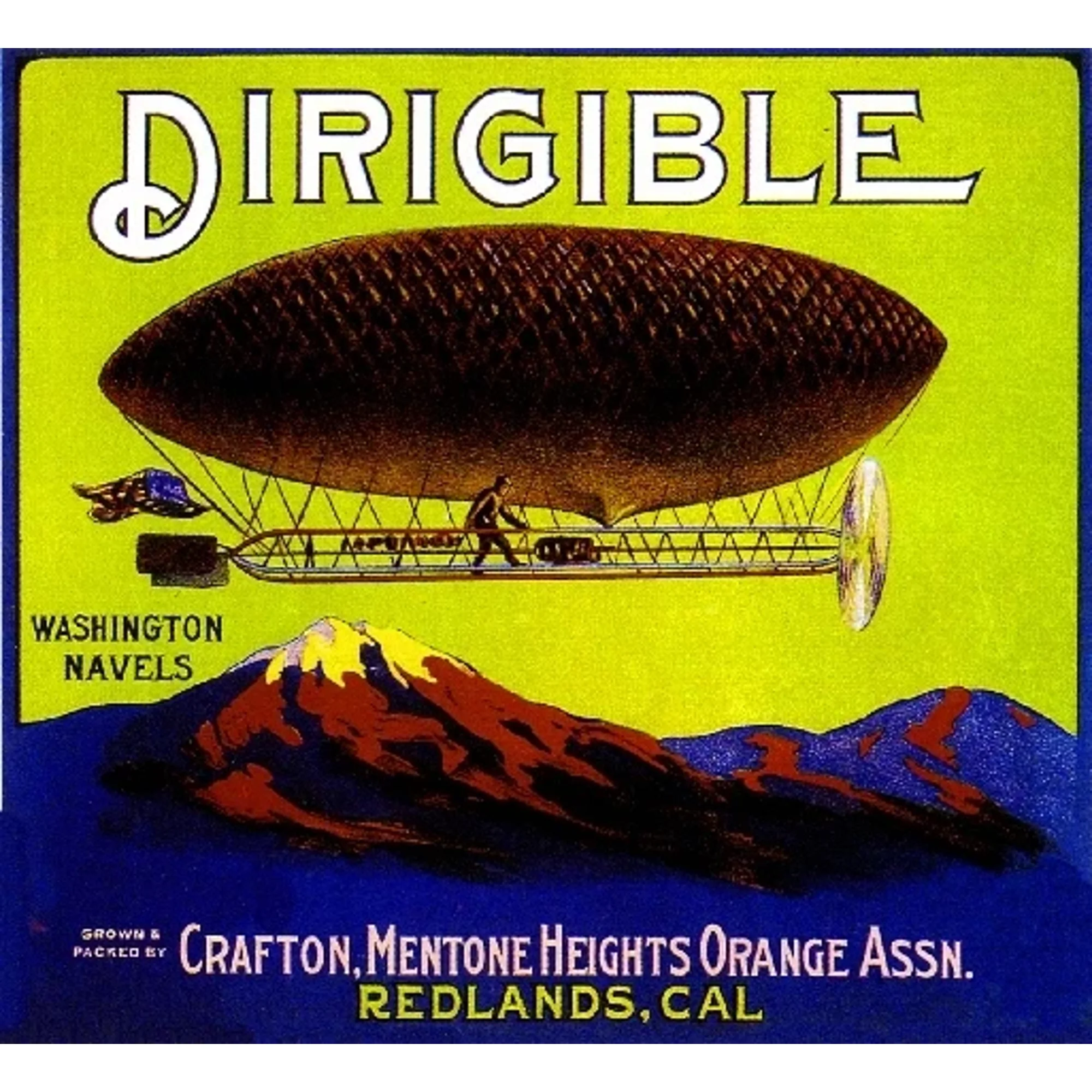 Redlands San Bernardino Dirigible Blimp Orange Citrus Fruit Print Home Decor Office Wall Art