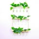 thumbnail image 4 of Terrario de planta de tubo de ensayo Billuyoard para colgar en la pared estilo retro, 4 of 6