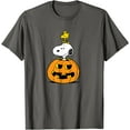thumbnail image 1 of Peanuts - Halloween - T-Shirt Citrouille Snoopy Woodstock - comme sur l'Image - m, 1 of 2
