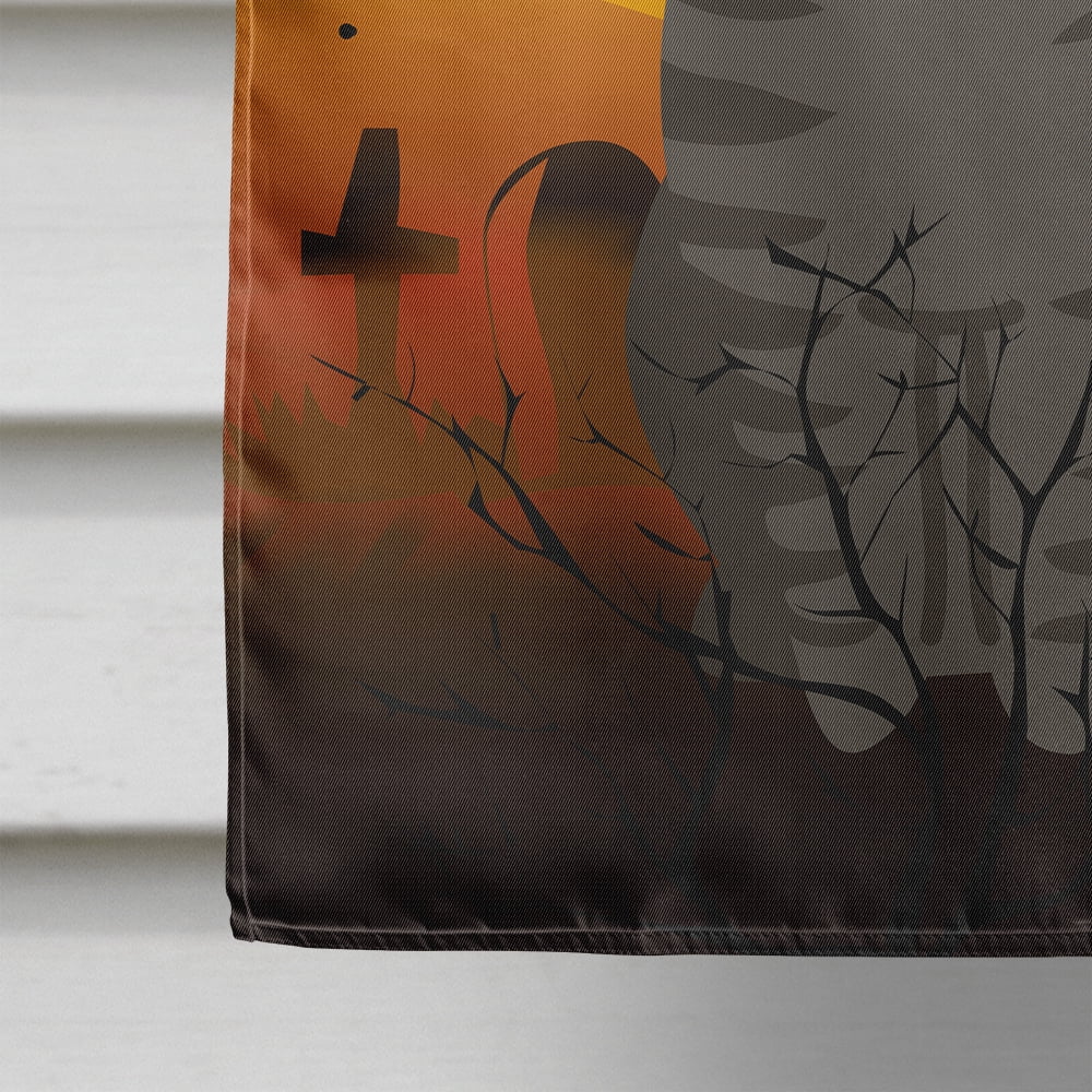 Halloween American Curl Cat Flag Canvas House Size