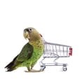thumbnail image 6 of Cute Metal Mini Shopping Cart Pet Bird Parrot Toy for Conures Parakeet Lovebirds Cockatiel, 6 of 7