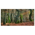 thumbnail image 2 of Autumn Forest in the Netherlands - Landscape Photography Canvas Print, 2 of 3