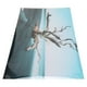 thumbnail image 1 of Fondo De Decoración Para Acuario, Papel Tapiz Autoadhesivo De PVC 3D Con árbol Marchito Y Cielo Para Pecera, 1 of 7