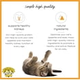 thumbnail image 3 of Dr. Elsey's cleanprotein Turkey Flavor Wet Cat Food 2.75 oz Can (Pack of 24), 3 of 7