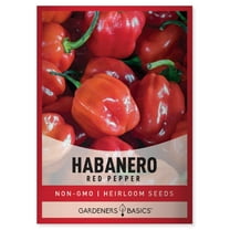 Red Habanero Pepper Seeds