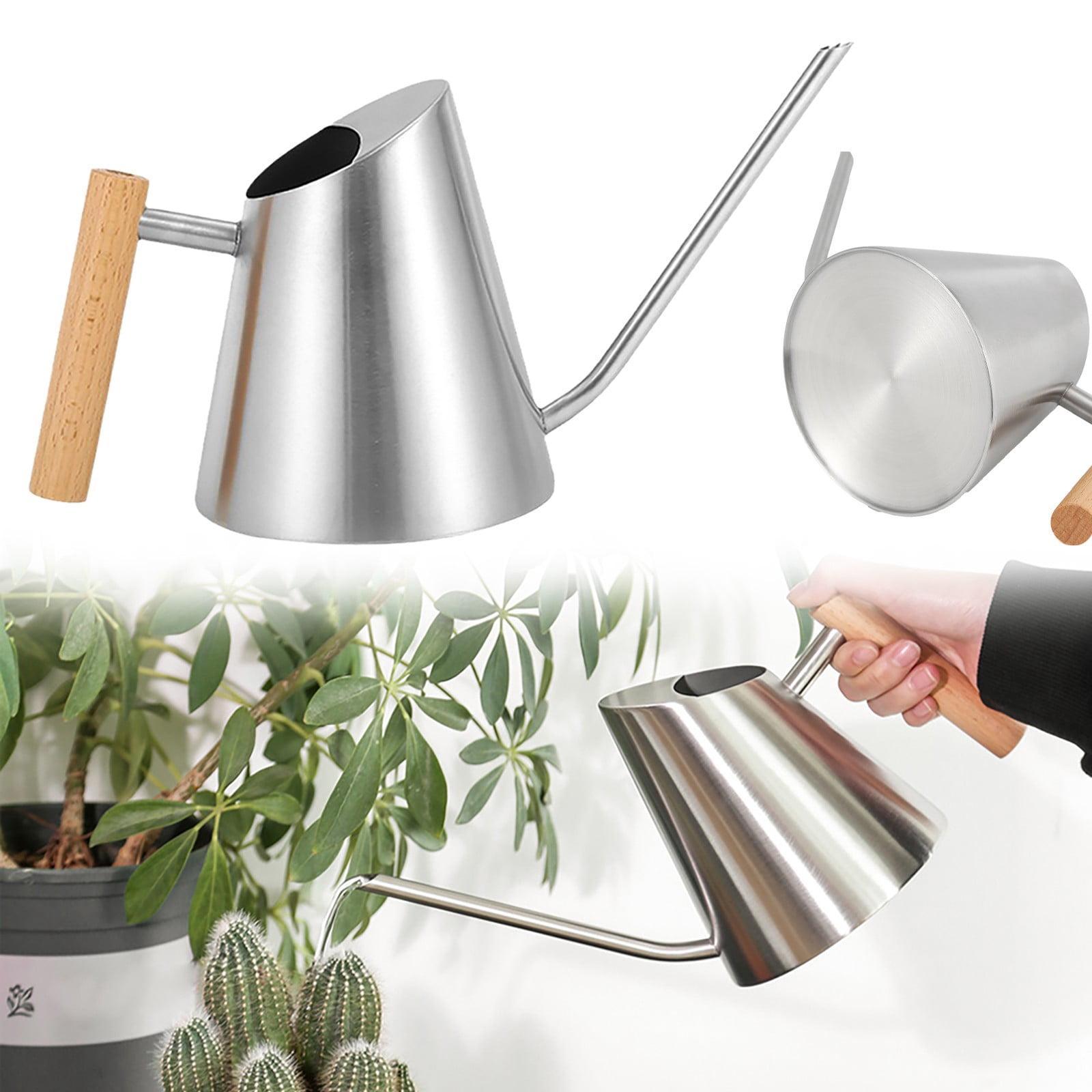Succulent Watering Kettle Indoor Watering Can Spout Watering Cans Flower Watering Can Indoor Plant Accessories Watering Can Indoor Plants Cute Watering Can Plant for Inside