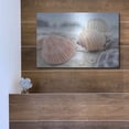thumbnail image 5 of Luxe Metal Art 'Crescent Beach Shells 10' by Alan Blaustein Metal Wall Art, 16"x12", 5 of 8