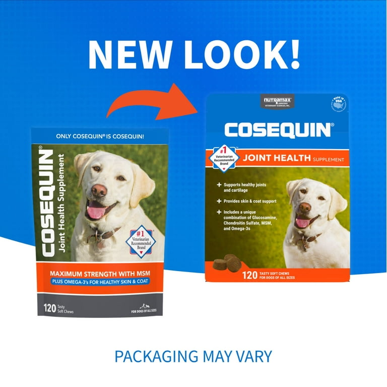 Cosequin ds maximum strength plus msm for dogs hotsell