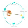 thumbnail image 3 of Dog Chew Suction Cup Tug Of War Corn Toy Multifunction Interactive Pet Aggressive Chewers Rope Puzzle Toothbrush Molar Bite Squeaky Toys Ball With Teeth Cleaning & Food Dispensing Feature, 3 of 9