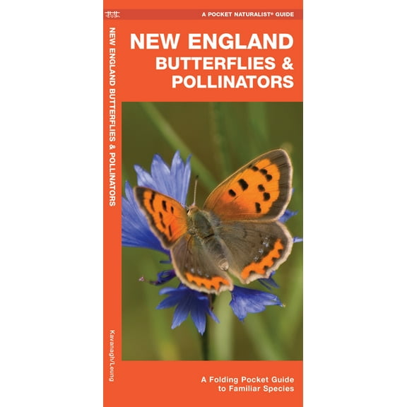 New England Butterflies & Pollinators : A Folding Pocket Guide to Familiar Species (Other)