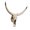 B 50x45x9.5cm, variant on Long Horned Decor Skull Halloween Decoration Wall Decor Skull Decor Skull Figurines Crafts Head For Holiday Bedroom .5x32x12cm