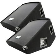 Seismic Audio Pro Audio SA-15MT 2-way Floor Standing Speaker, 300 W RMS, Black