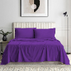 Purple {Stripe}