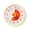 Custard, variant on Lynono Co.,Ltd Count Down Timer For Baking Sports Learning With Clear DisplayP1ast1cConstruction
