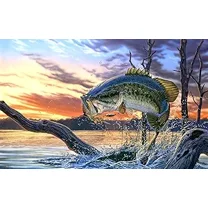 Bass Fish Birthday Edible Image Cake Topper For Quarter Sheet Cake By TNCT