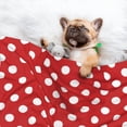 thumbnail image 3 of Naloa Red Polka Dot Dog Blanket, 3 Sizes Cat Blanket for Indoor Cats Large Medium Small Dog Gifts-Small, 3 of 8