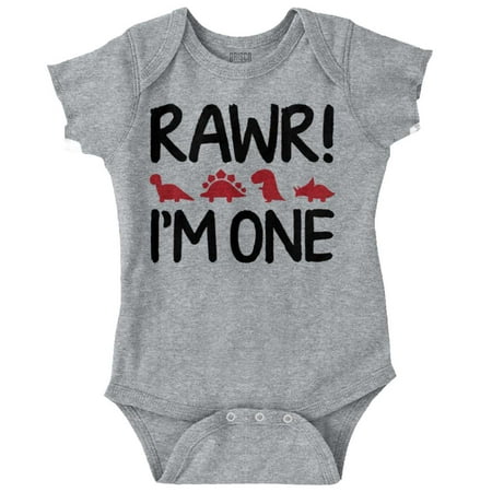 

Rawr I m One Little Dinosaur Birthday Bodysuit Jumper Boys Infant Baby Brisco Brands 24M