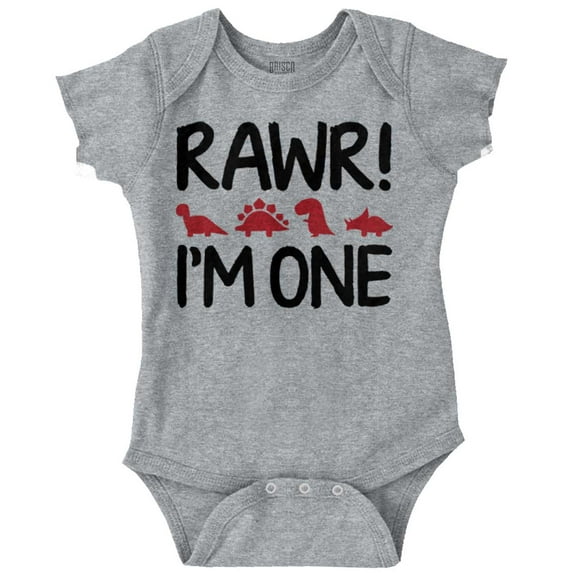 Rawr I'm One Little Dinosaur Birthday Romper Boys or Girls Infant Baby Brisco Brands 12M