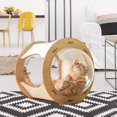 thumbnail image 3 of lionlar Cat Condos Cat Nest Kennel Pet House with Cushion , Two Transparent Observation, 3 of 9